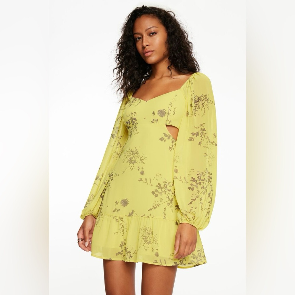 Dynamite Long Sleeve Flare Mini Dress